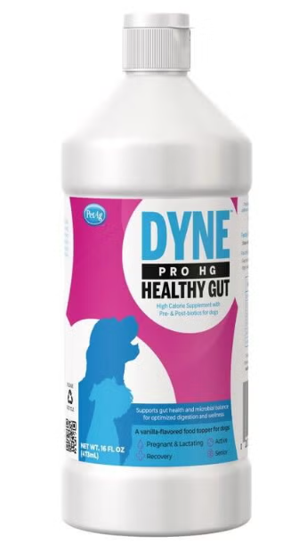 Dyne