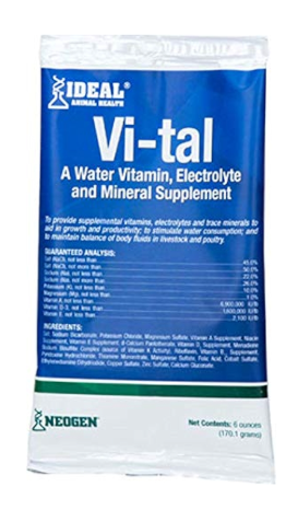 Vi-tal