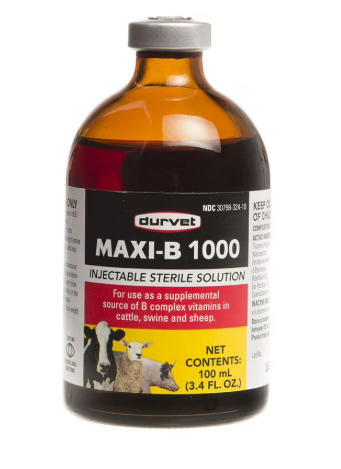 Maxi-B 1000